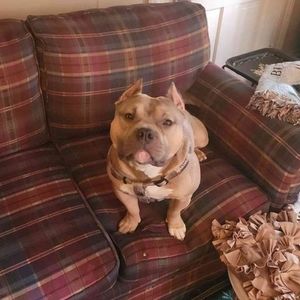 Meet your Posher, Patti